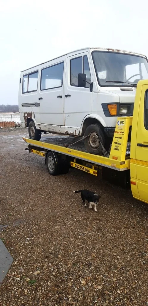 F66acc681505c0196d8a7f949d0d8e1c